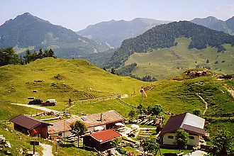 Kranzhornalm