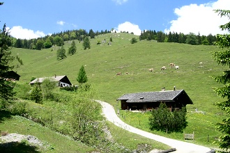 Oberaudorfer Almen