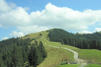 Hörnle