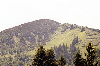 Hochplatte - Friedenrath