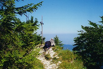 Pasterkopf