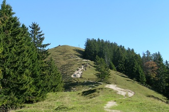 Baumgartenschneid