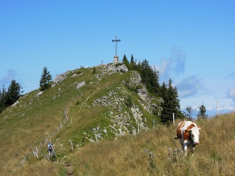 Am Gipfel der Bodenschneid