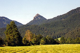 Leonhardstein